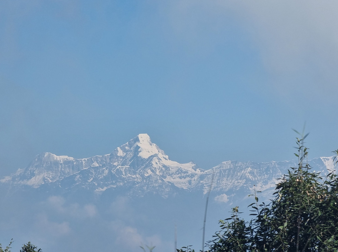 Nine Furlongs, Binsar Wildlife Sanctuary主图