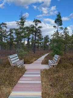 Saco Heath Preserve-萨考必去景点