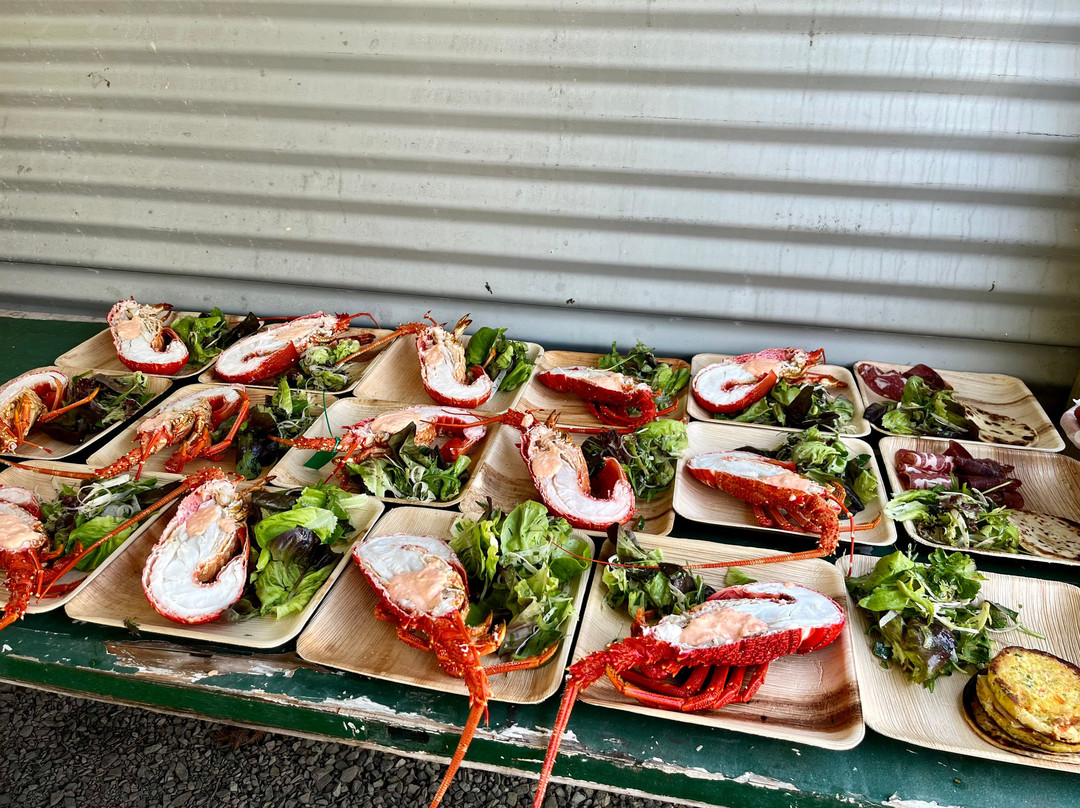 Boomerang by the Sea主图