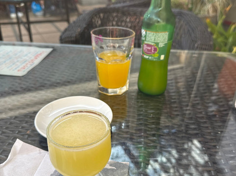 Macaronésia Garden Center-沙尔必去景点