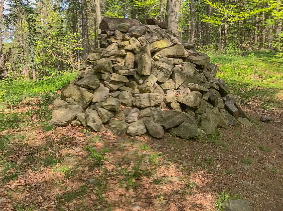 Punkt Widokowy Bukowski Groń-Porabka必去景点