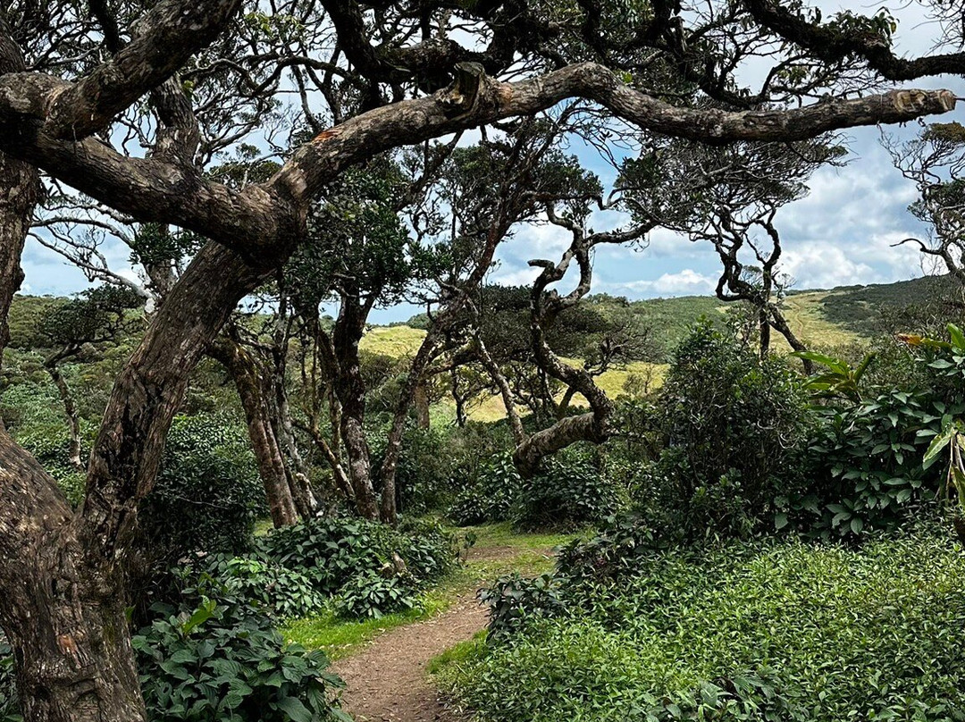 Chariot Path Kandy景点图片