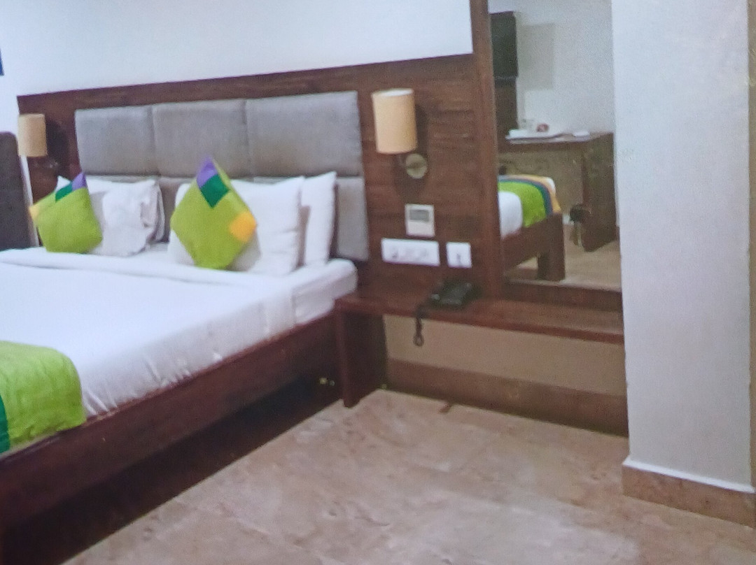 Treebo Trend PL Grand主图