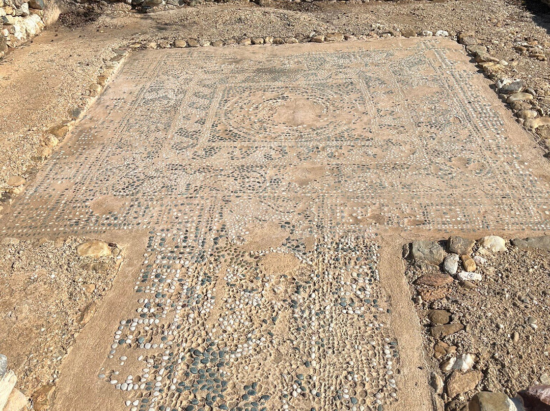 Ancient Olynthos景点图片