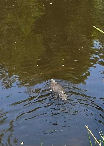 Premier Travel Tasmania-霍巴特必去景点