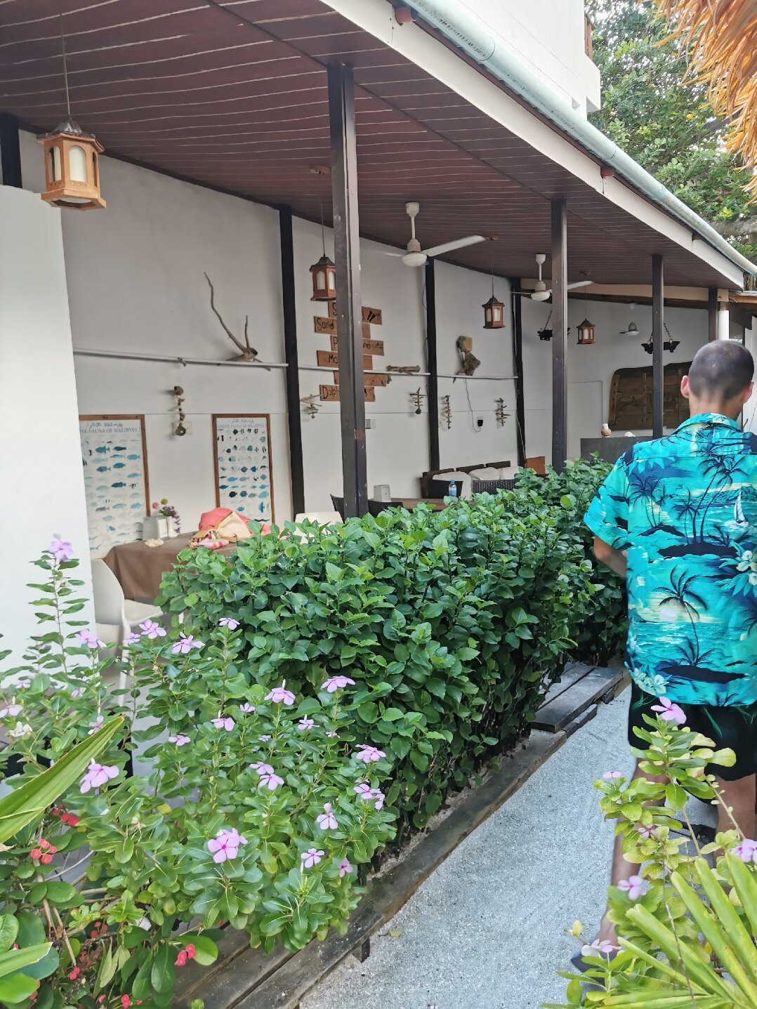Salt Villa Ukulhas-官方