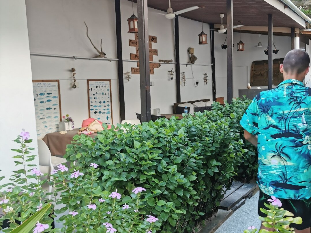 Salt Villa Ukulhas主图