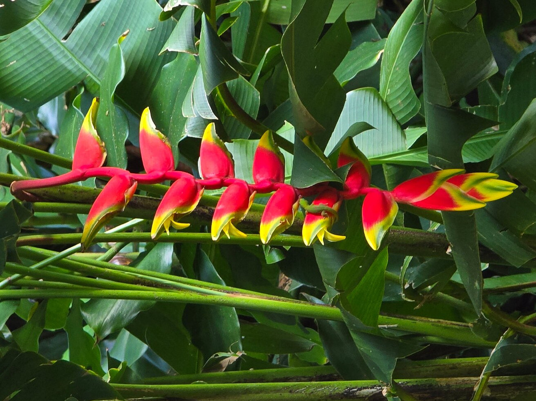 Waimea Falls-Pupukea必去景点