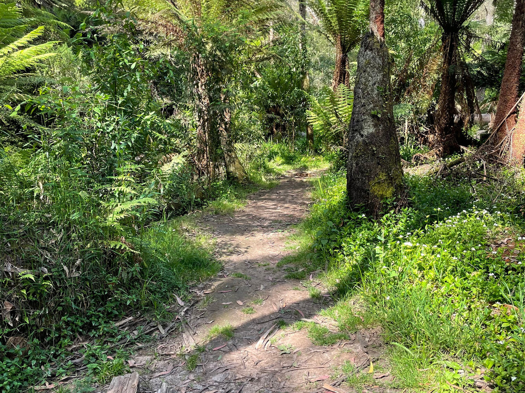 Baynes Park-蒙布克必去景点
