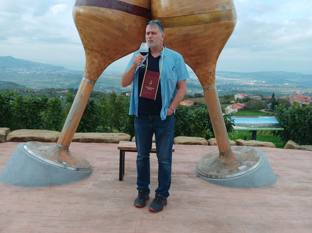 Wine Fountain Marezige景点图片