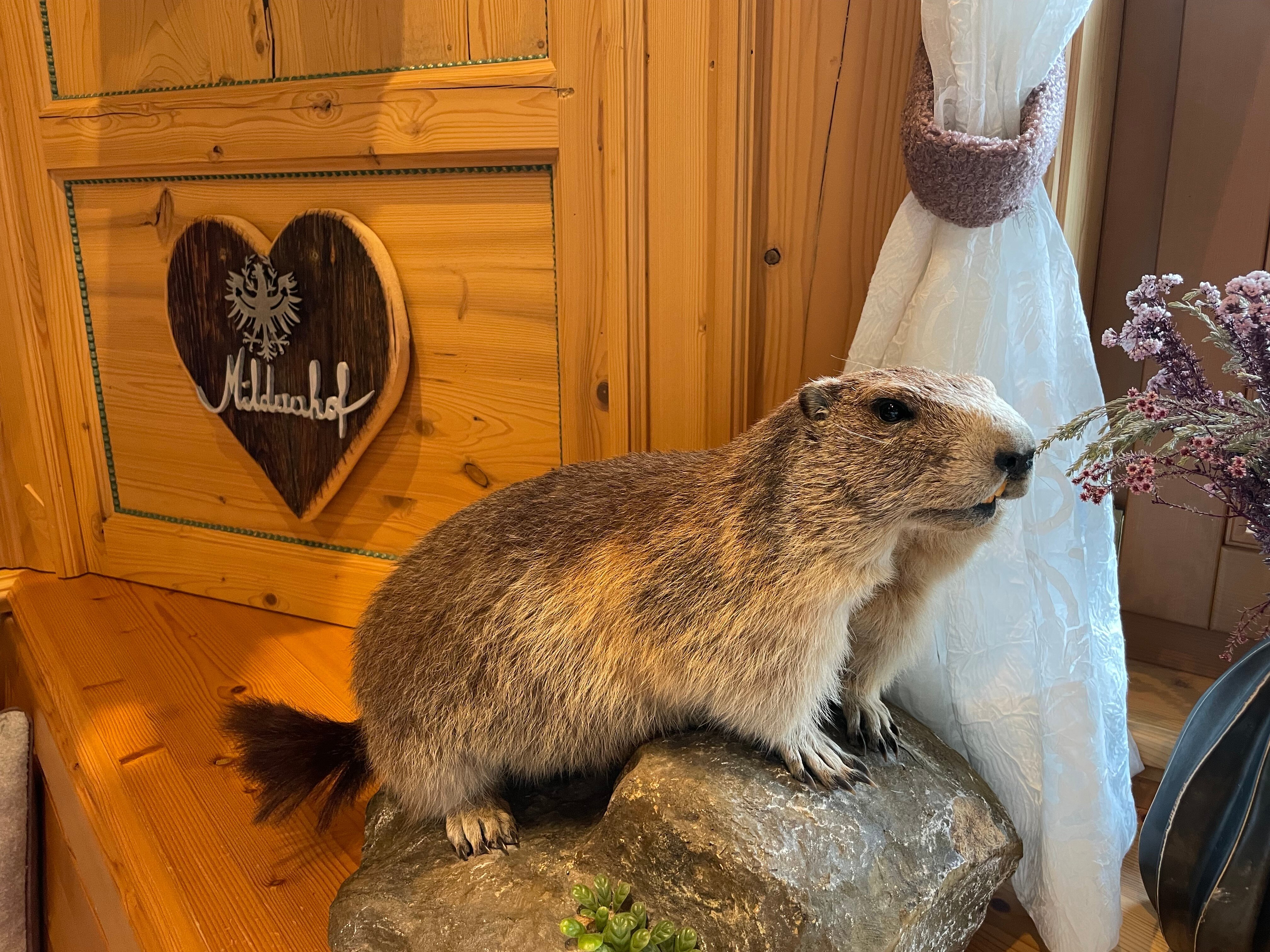 Wellness & Relax Hotel Milderer Hof-浴室