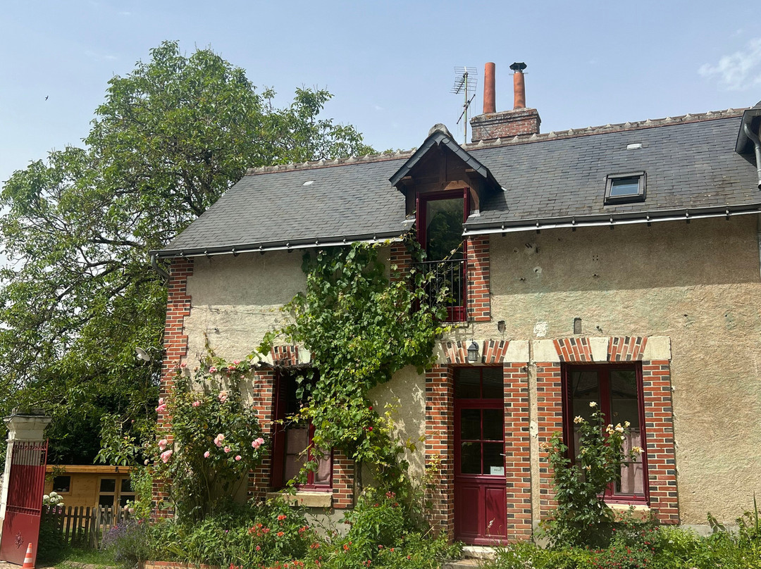 Le Tasting Room Wine - Day Tours景点图片