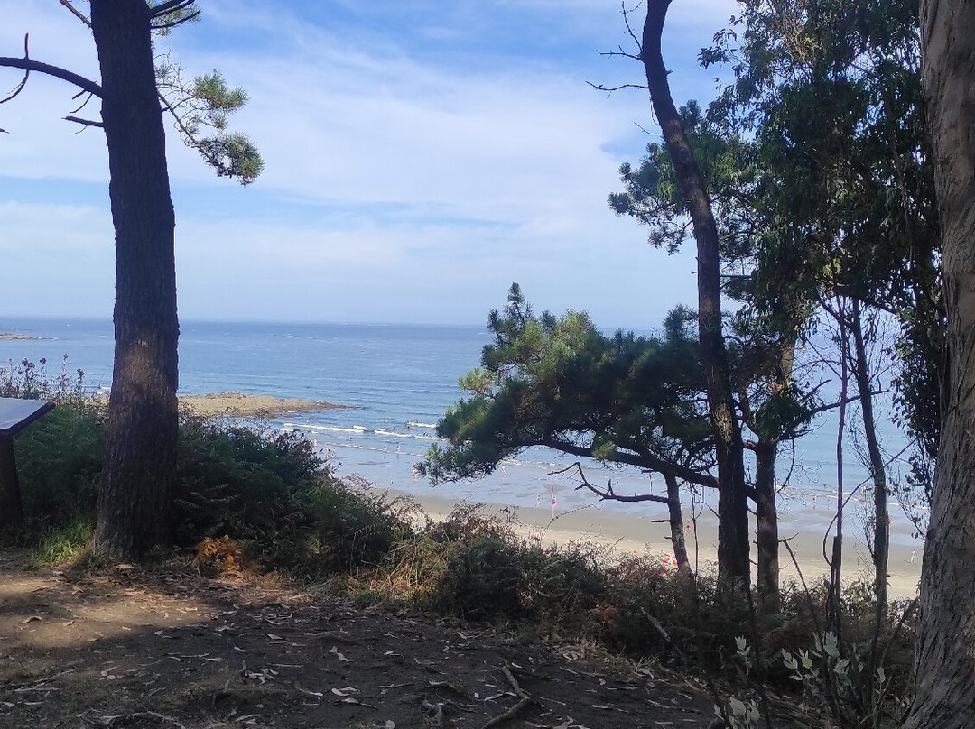 Playa de Frexulfe-Navia必去景点