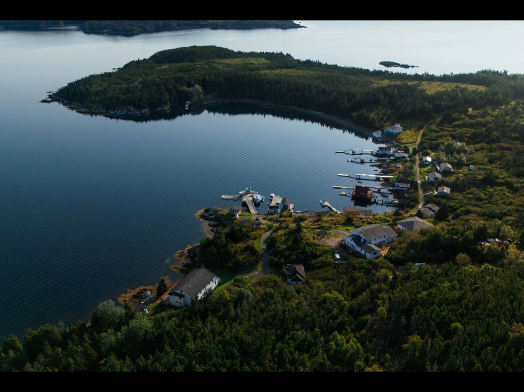 Woody Island Resort主图