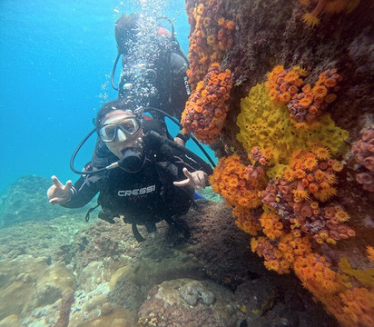 Master Dive Escola de Mergulho-阿拉伊阿尔港必去景点