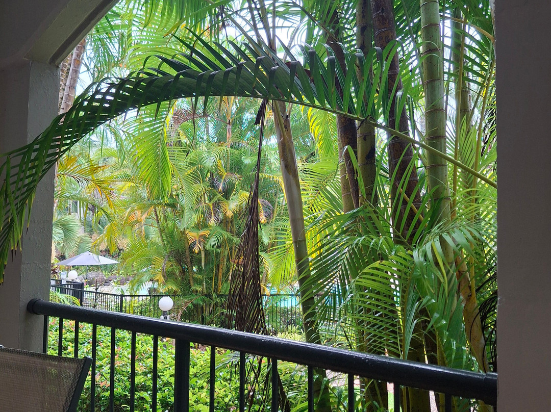 湖泊保护区公寓主图