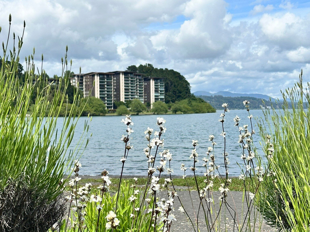 Hotel Kuyen-Ko Pucon主图