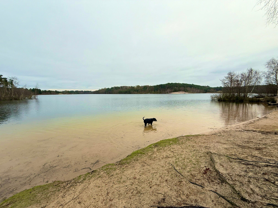 Bawsey Country Park