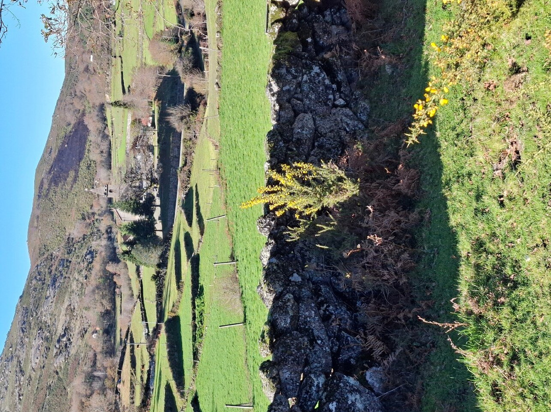 Green Man Gerês景点图片