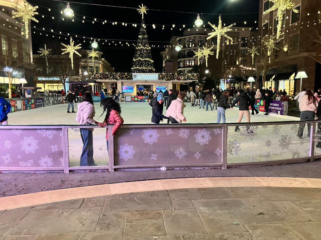 Avalon-阿尔法利塔必去景点