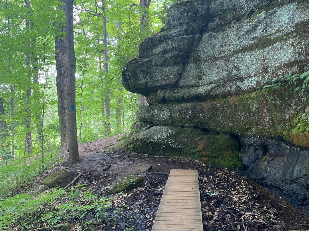 Nelson-Kennedy Ledges State Park-Nelson必去景点