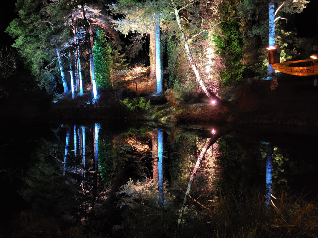 Bedgebury National Pinetum And Forest-Goudhurst必去景点