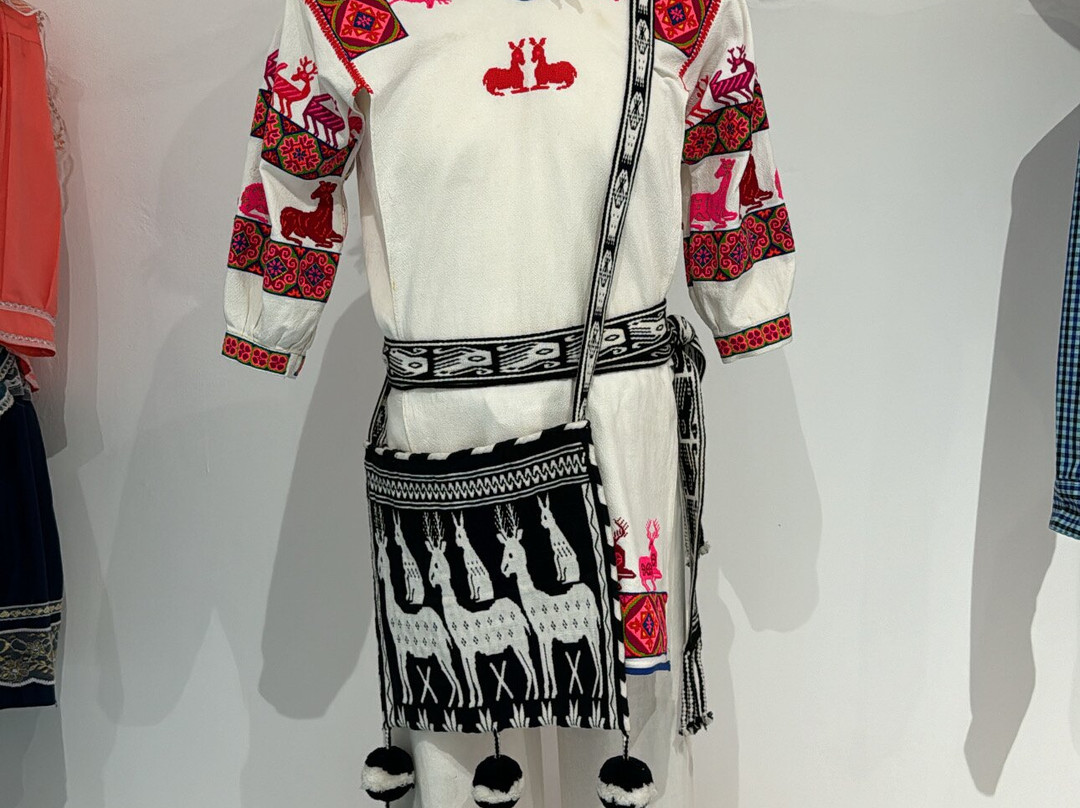 Museo de Ropa Étnica de México景点图片