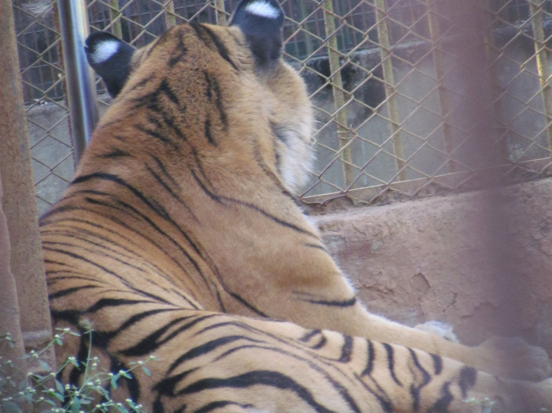Assam State Zoo and Botanical Garden景点图片
