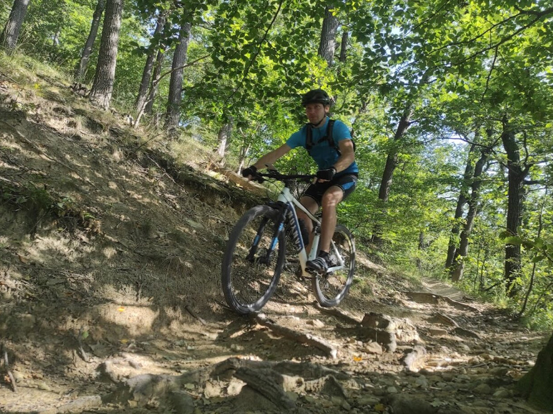 Austria Trails Bike Rent and Tours-Guntramsdorf必去景点