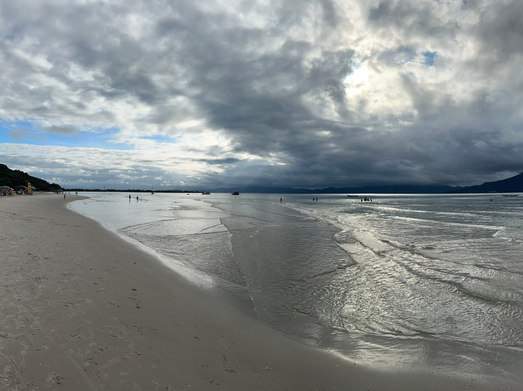 Praia do Forte-弗洛里亚诺波利斯必去景点
