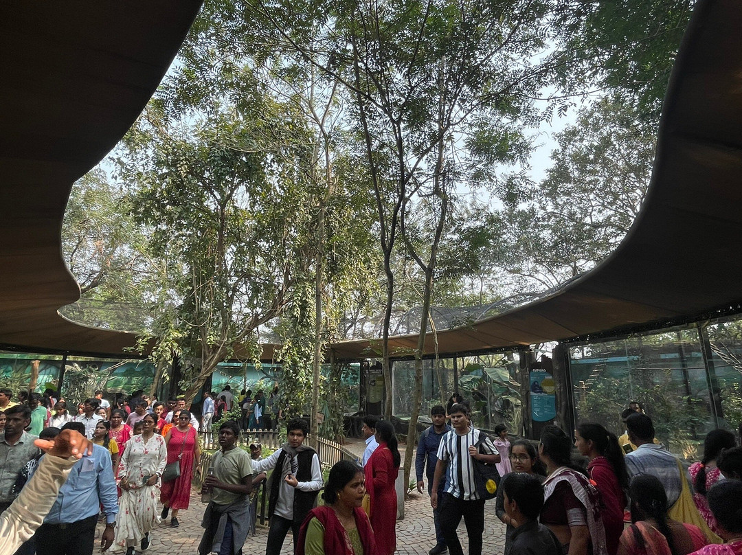 Nandankanan Zoological Park景点图片