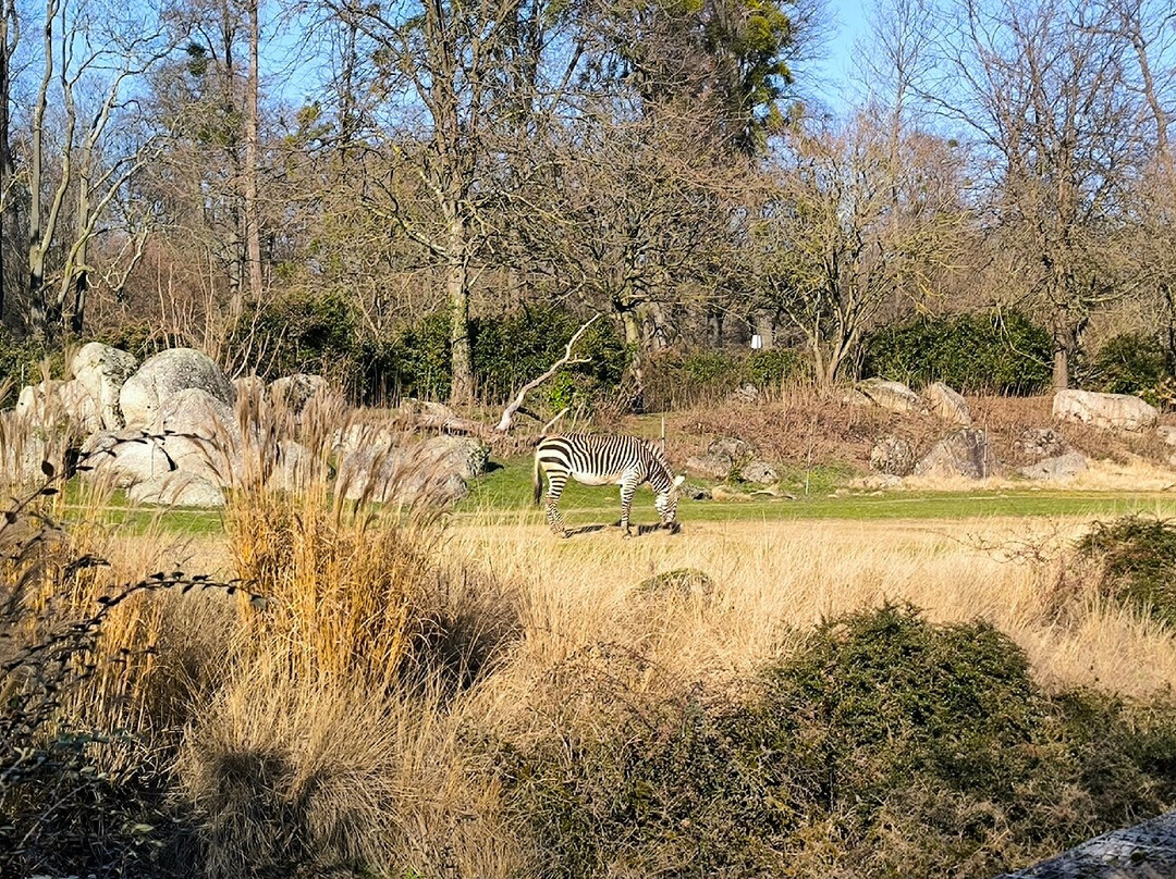 Zoo de Lyon-里昂必去景点
