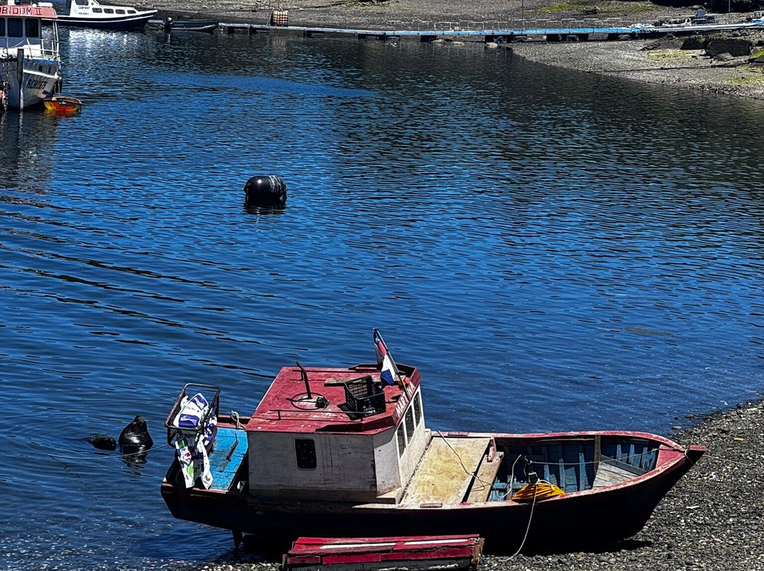 Angelmo-蒙特港必去景点