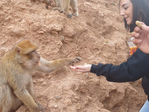 Take A Break Travel Morocco-梅如卡必去景点