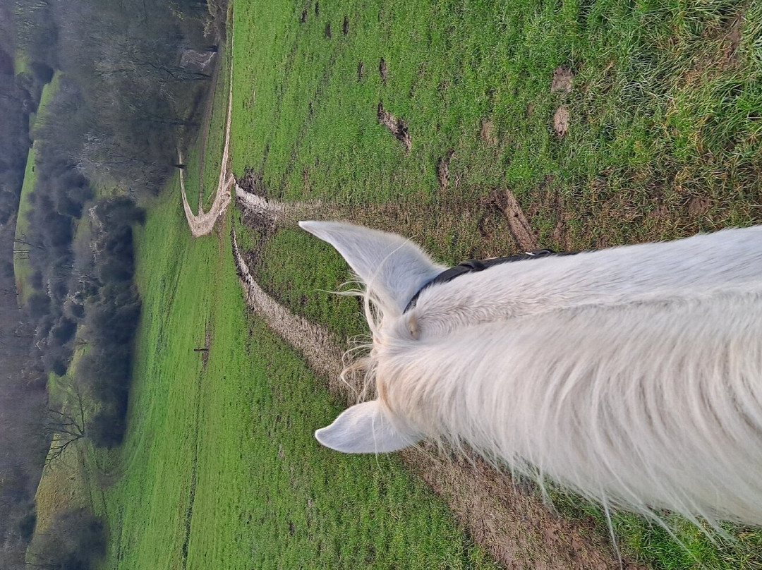 Cotswolds Riding景点图片