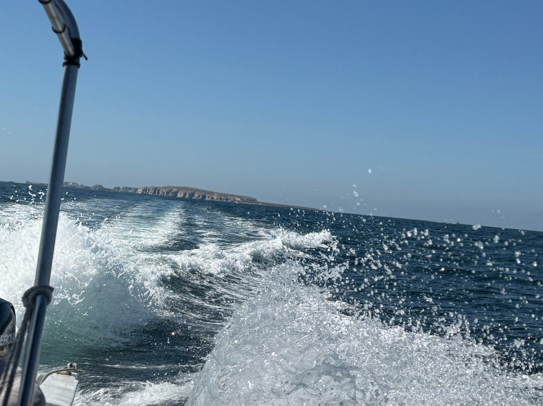 Twin Dolphins-瓦拉塔港必去景点