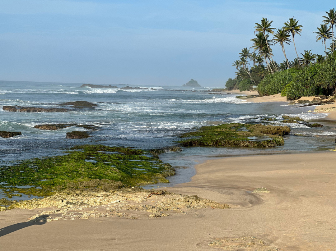 Colours Of Life Home主图