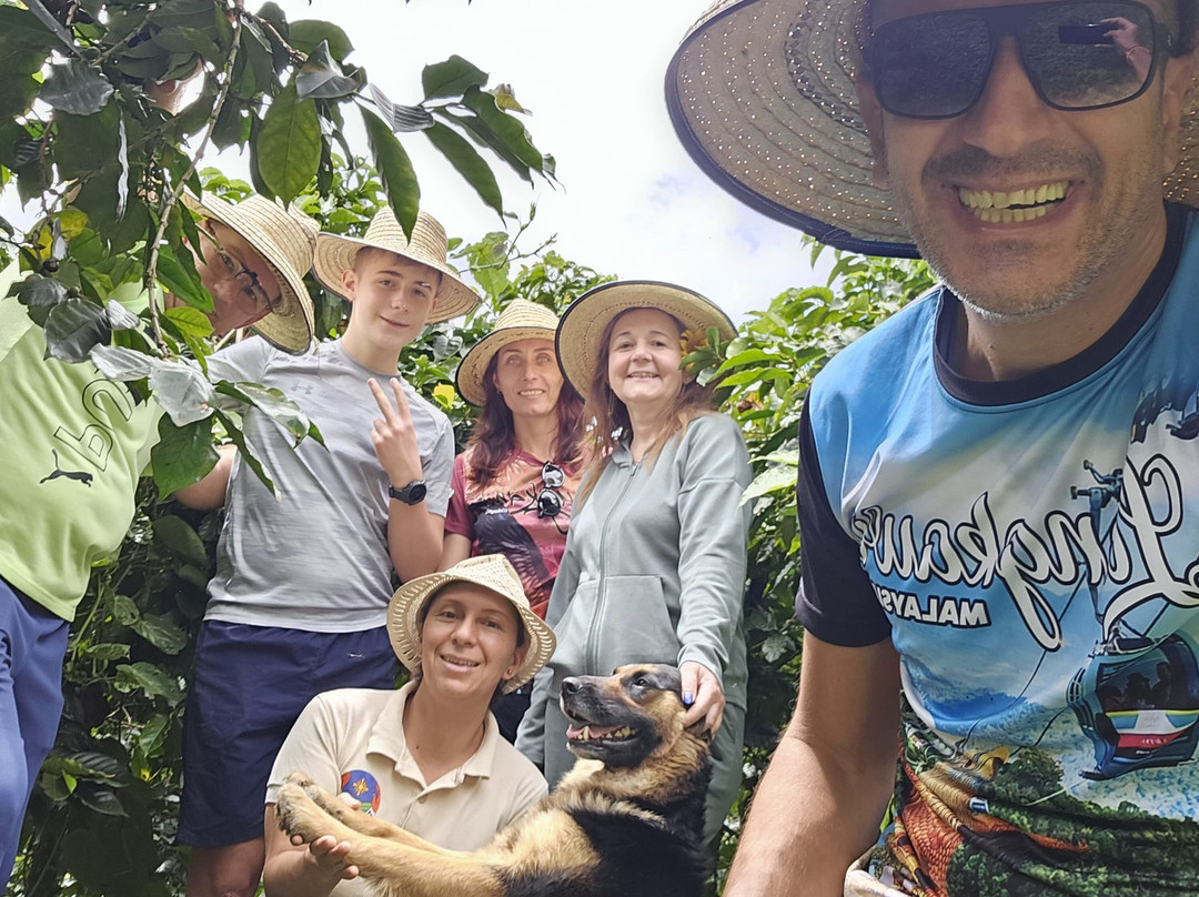 HotelTierraactiva主图