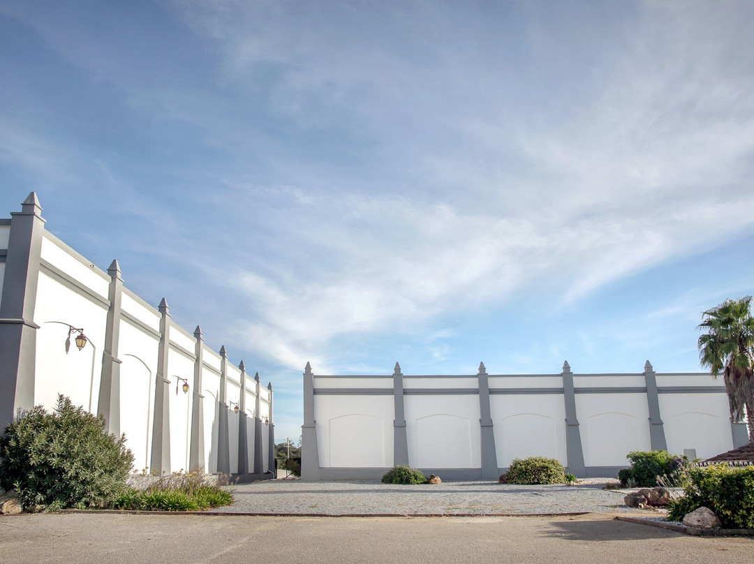 Aliestre Vineyards - Quinta da Esperança景点图片