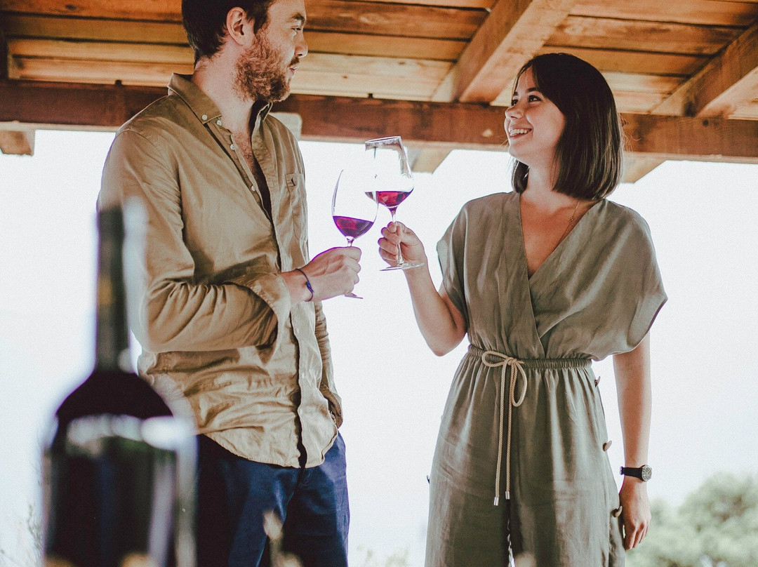 Boutique Winery Vicelić-Pijavicino必去景点