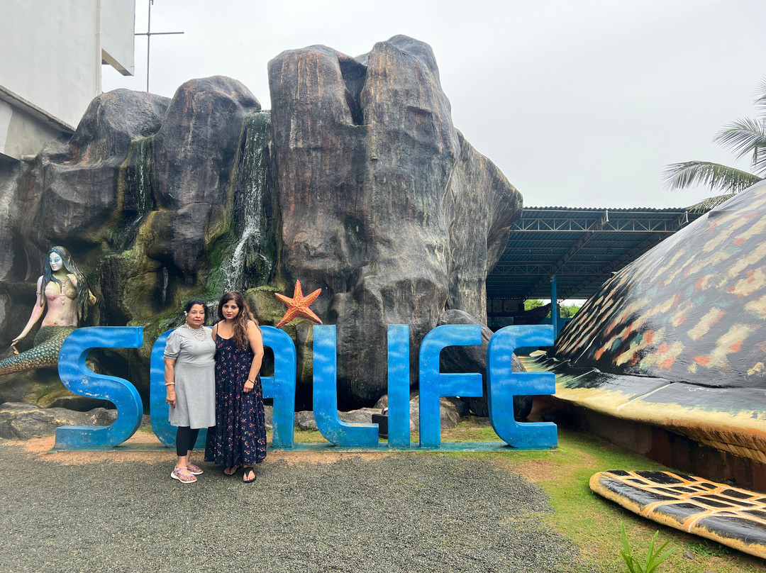 Luxury Holidays Asia-科伦坡必去景点