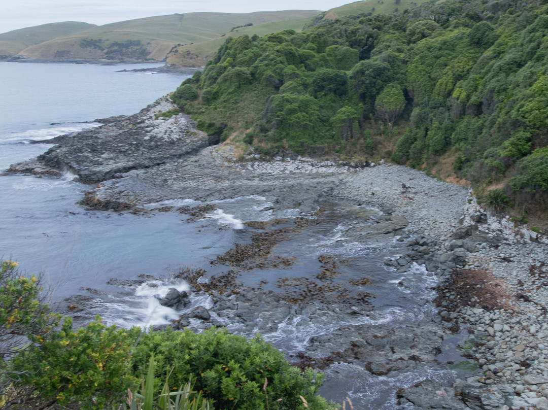 Catlins Tours景点图片