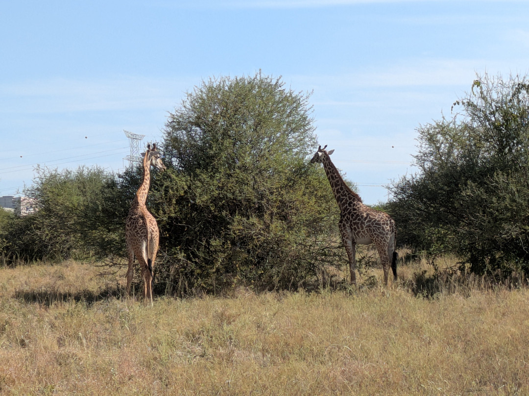 Africa Vision Safaris Tours and Travel景点图片