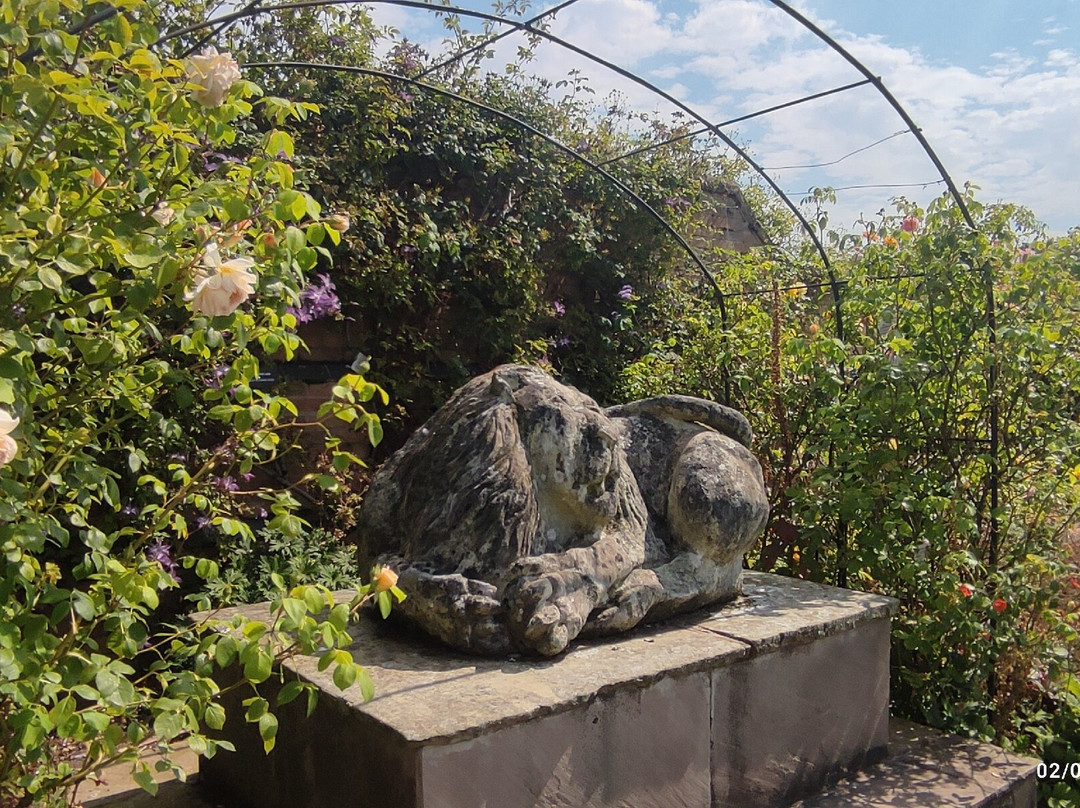 David Austin Roses景点图片