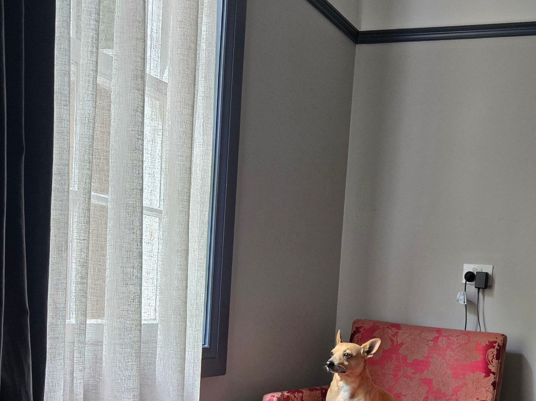 堪培拉布拉思酒店主图