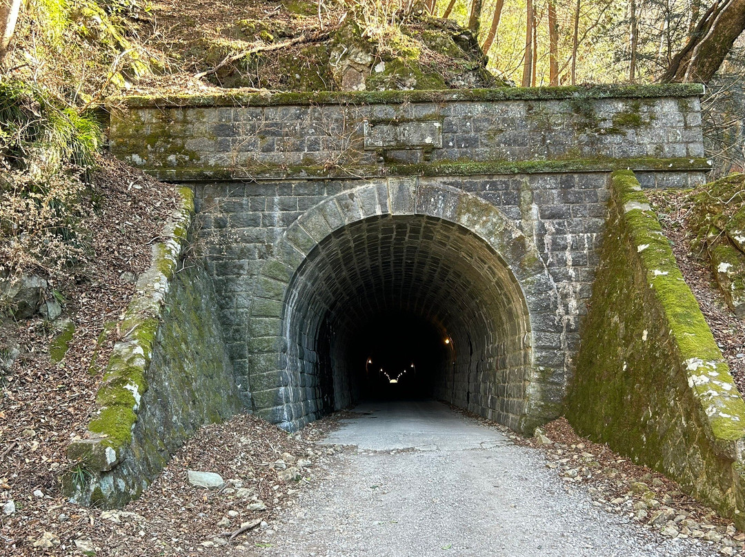 Mt. Amagi Tunnel (Former Amagi Tunnel)-伊豆市必去景点