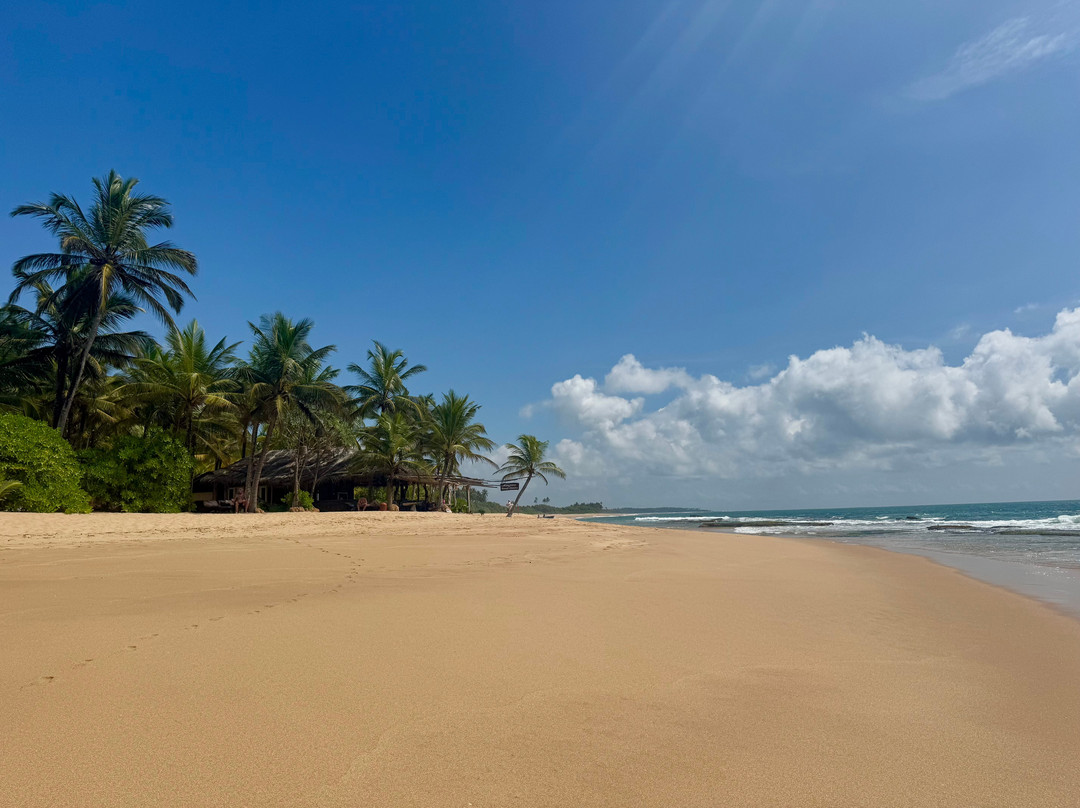 Whispering Wave Tangalle