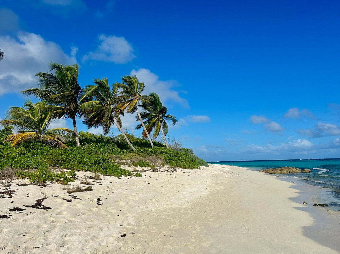 Milly's Inn Inc.主图