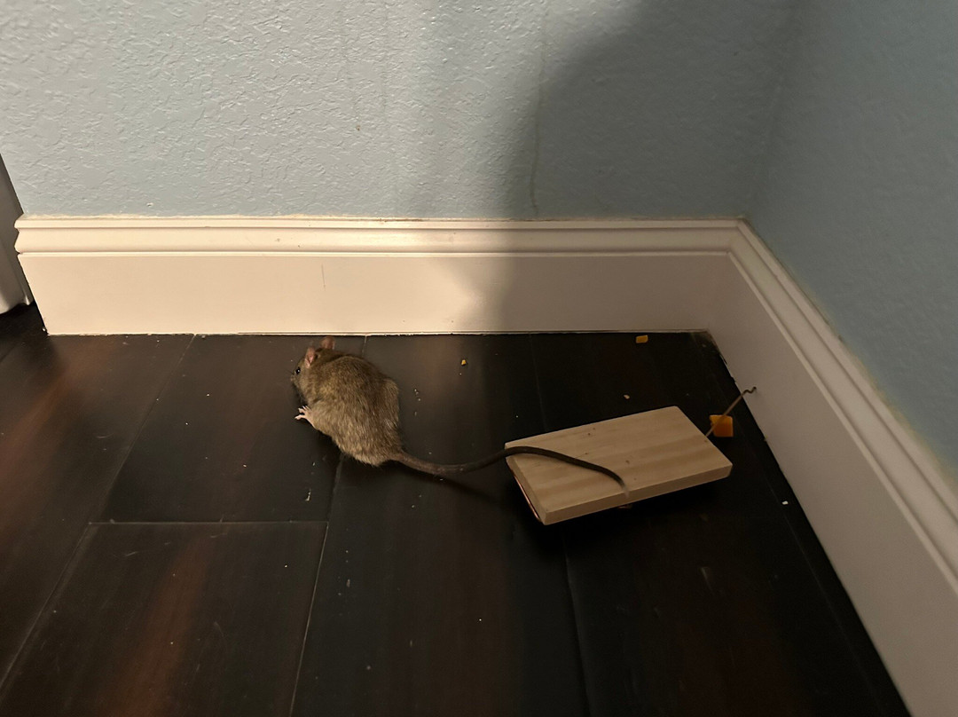 热带别墅酒店主图