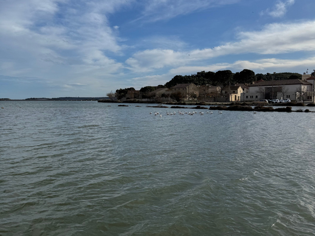 Etang Du Doul-Peyriac-de-Mer必去景点